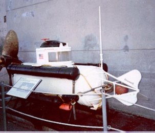 Converted Propane Tank - Stern