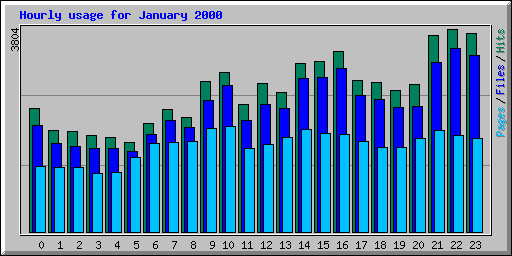 Hourly usage for January 2000