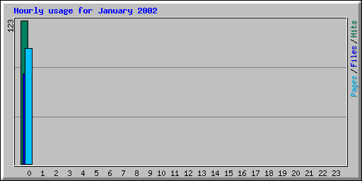 Hourly usage for January 2002